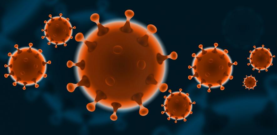 Corona Virus