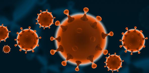 Corona Virus Corona Virus
